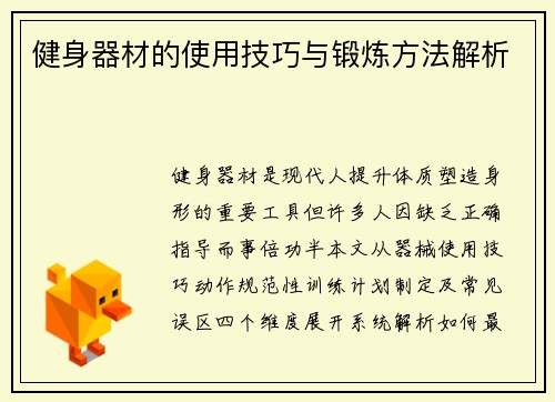 健身器材的使用技巧与锻炼方法解析